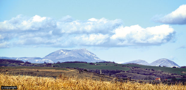 Маратон кроз миленијуме око Зајечара